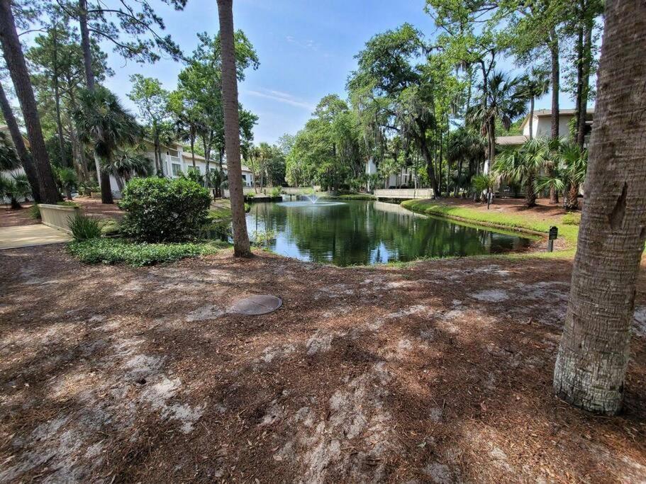 Contemporary Bliss-Newly Renovated Cozy Villa! Hilton Head Island Exterior photo